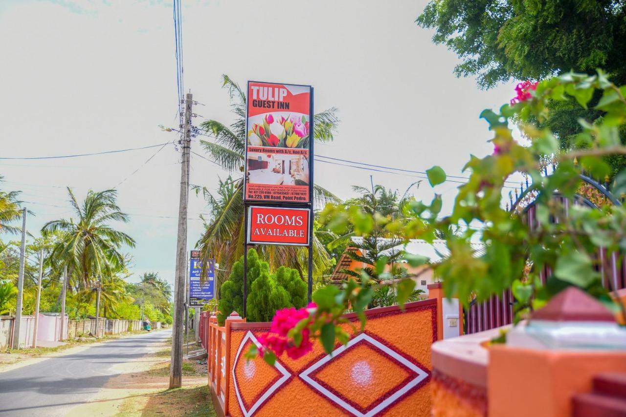 Tulip Guest Inn Point Pedro المظهر الخارجي الصورة